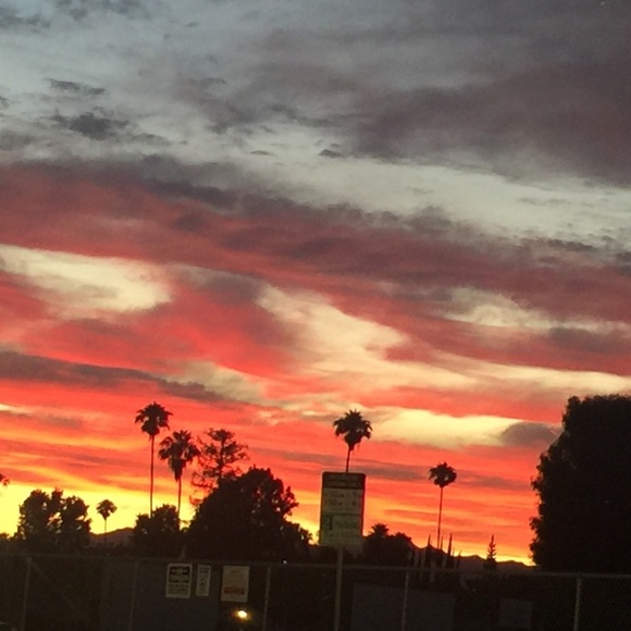 Meet your Posher, Julia - Picture 1 of 1